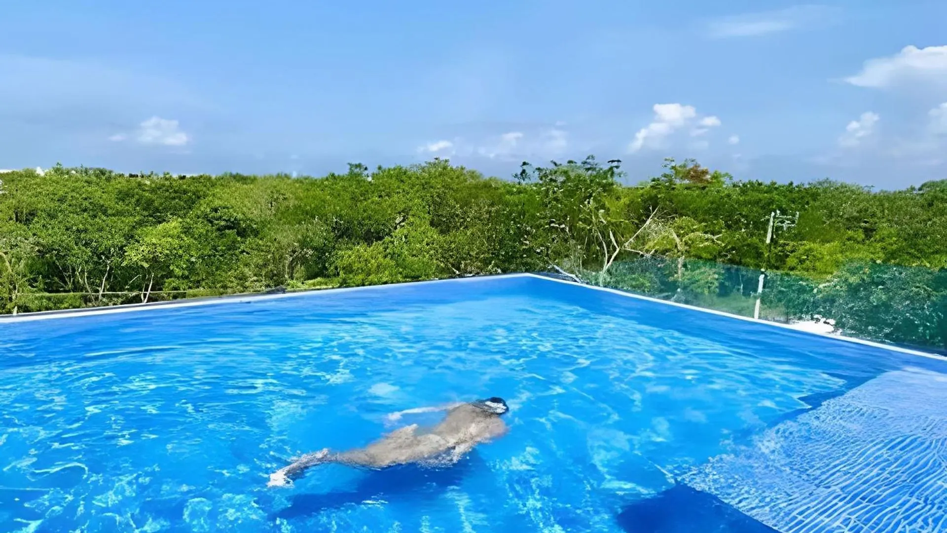 Сasa de vacaciones Villa Loft increíble king size Alberca infinita,Gym en medio de la selva Tulum México